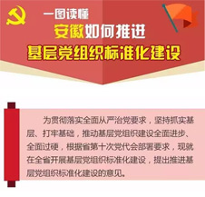 基层党组织标准化建设